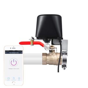 Tuya Smart Water Valve